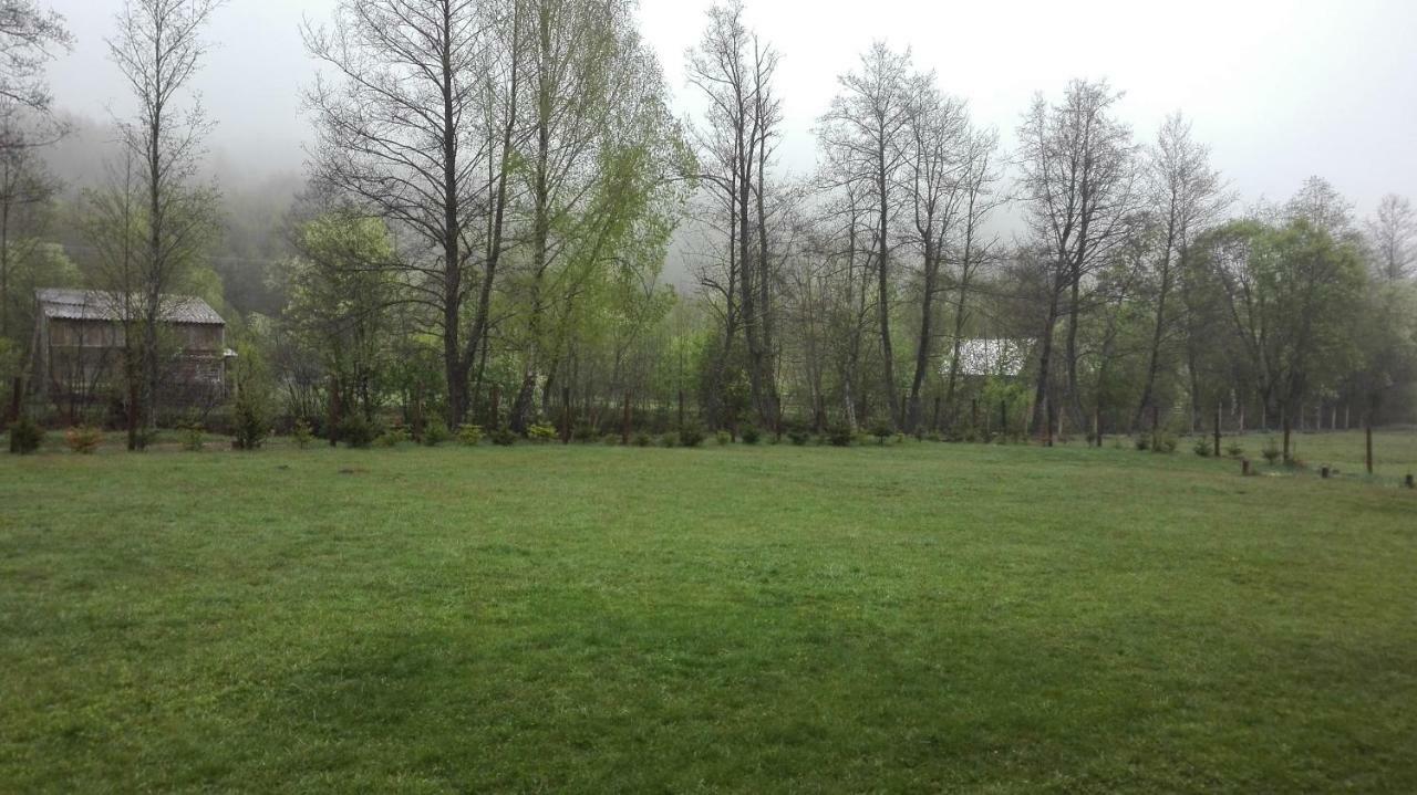 Katalin Kulcsoshaz Hotel Băile Chirui Buitenkant foto