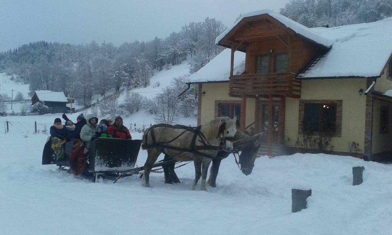 Katalin Kulcsoshaz Hotel Băile Chirui Buitenkant foto
